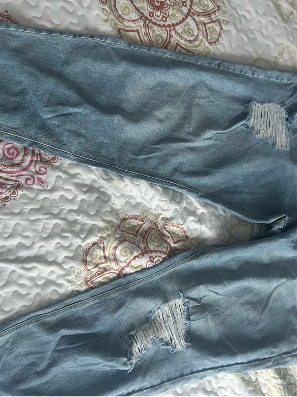 Light Wash Distressed Skinny Jeans